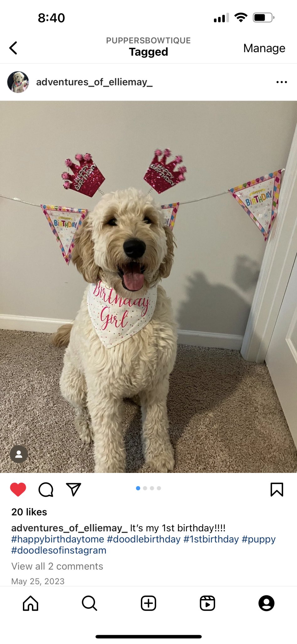 Over the Collar Birthday Girl Dog Bandana